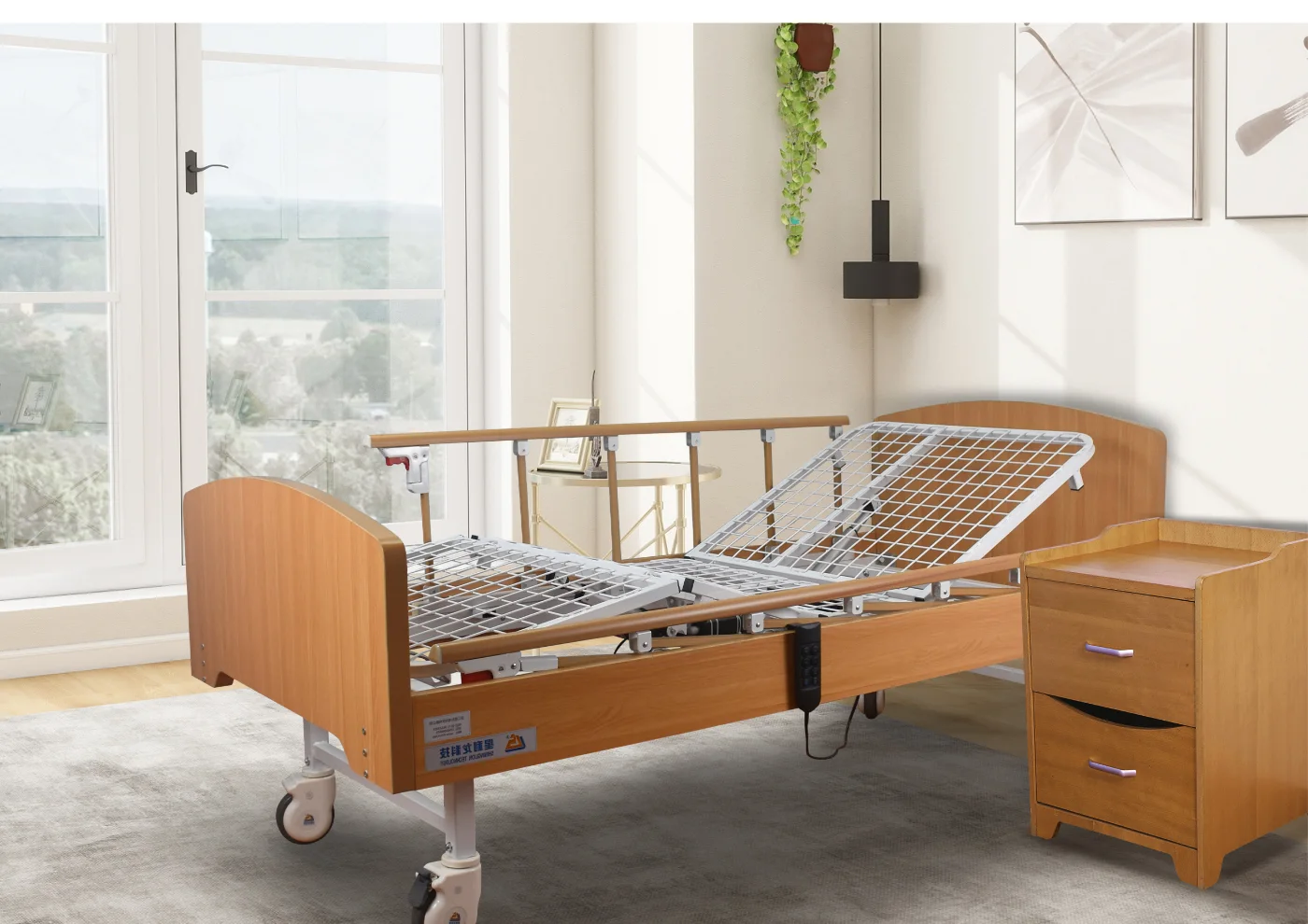 SLD-A21-111D Two-Function Electric Nursing Bed