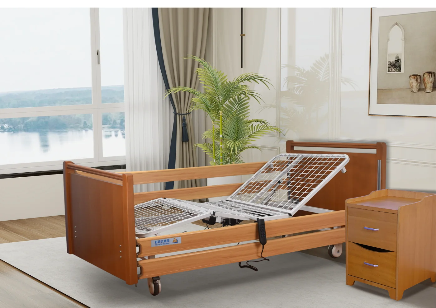 SLD-A21-111F Two-Function Electric Nursing Bed