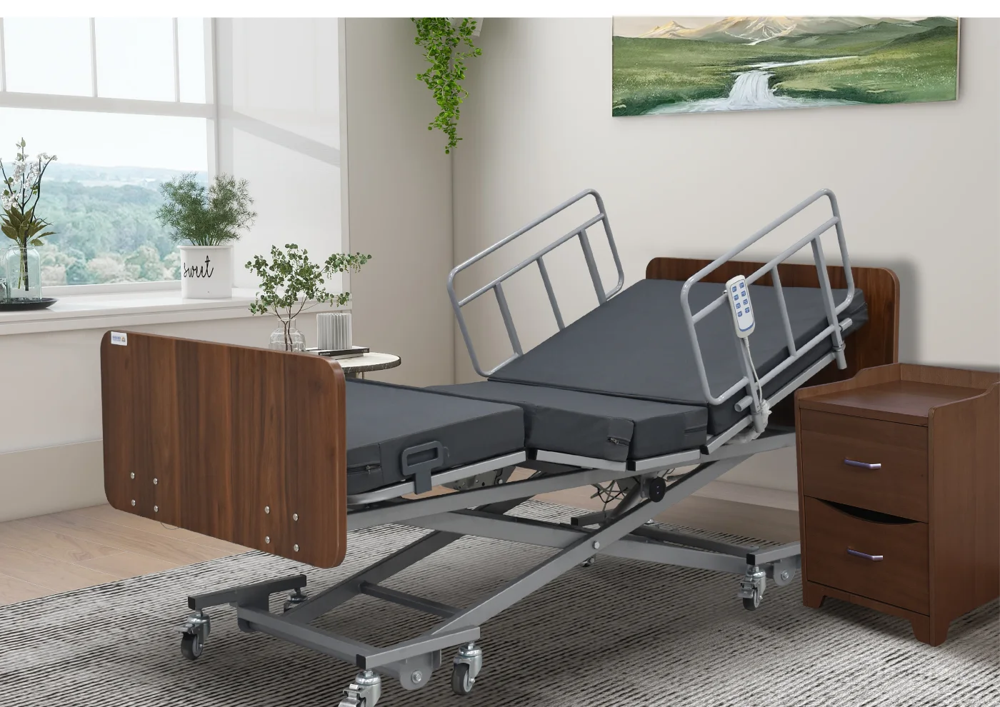 SLD-A31-421J Extra-Low Three-Function Electric Nursing Bed