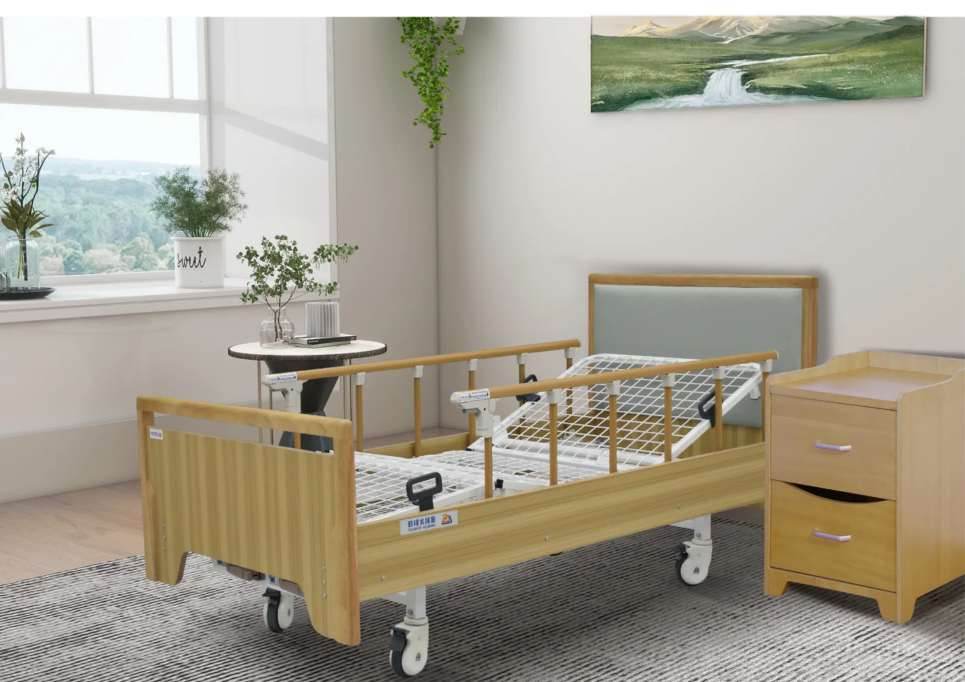 SLS-A21-421B Two-Function Manual Nursing Bed